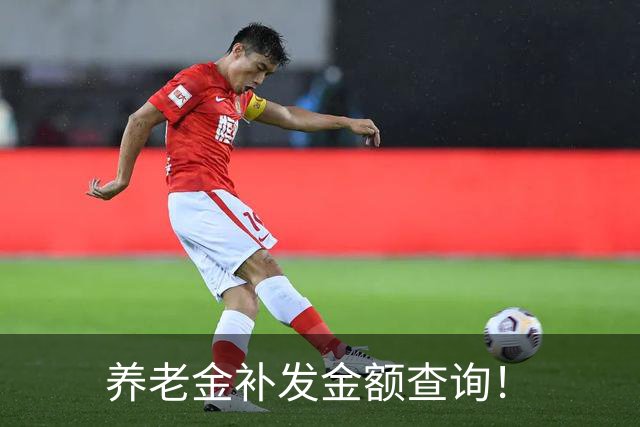 养老金补发金额查询！